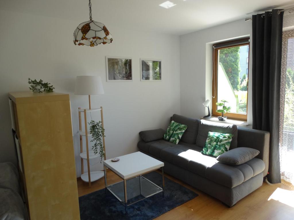 Apartament Zielony Taras في كراكوف: غرفة معيشة مع أريكة وطاولة