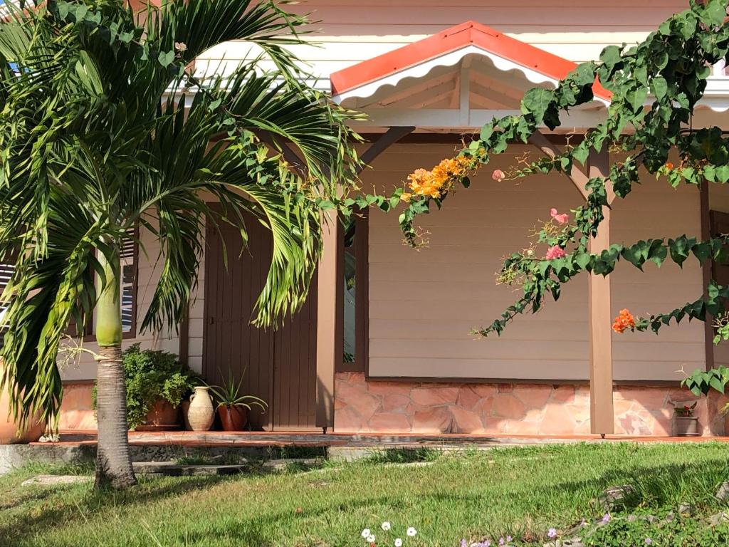 Zahrada ubytování La Villa Kanel