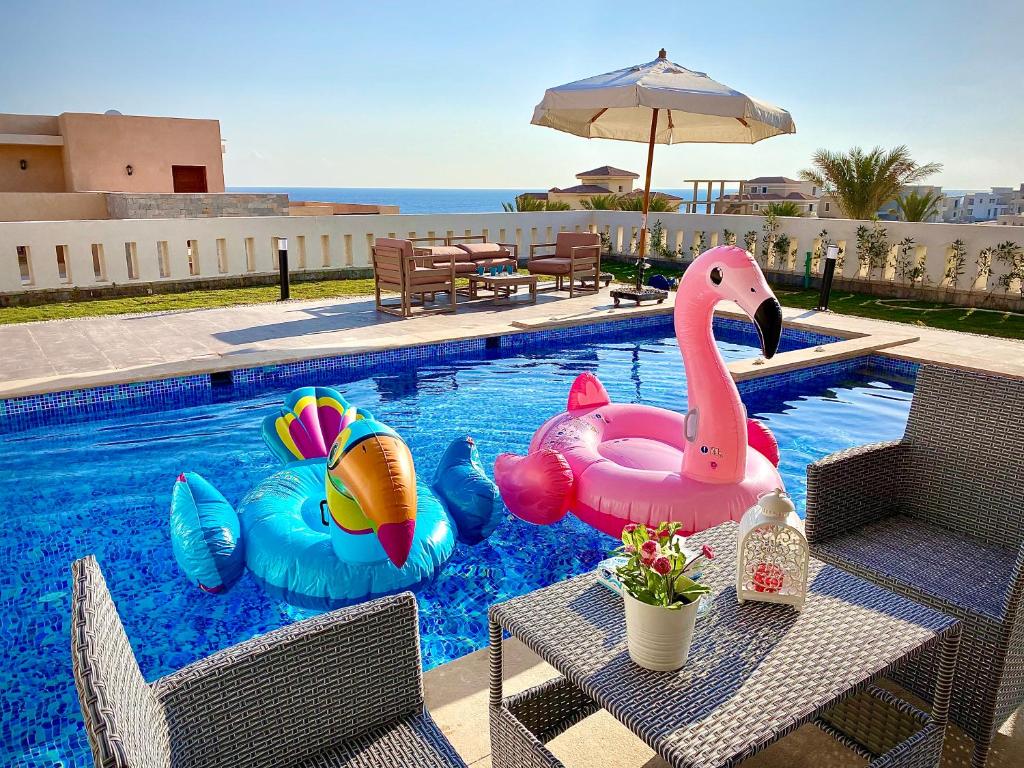 una piscina con dos cisnes inflables. en Hurghada Sahl Hasheesh sea-view Villa with private pool en Hurghada