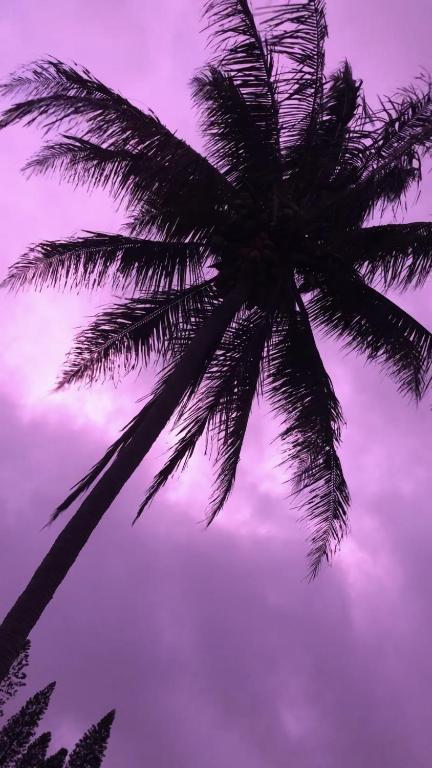 Fotografie z fotogalerie ubytování Hawaii Island Resort v destinaci Naalehu