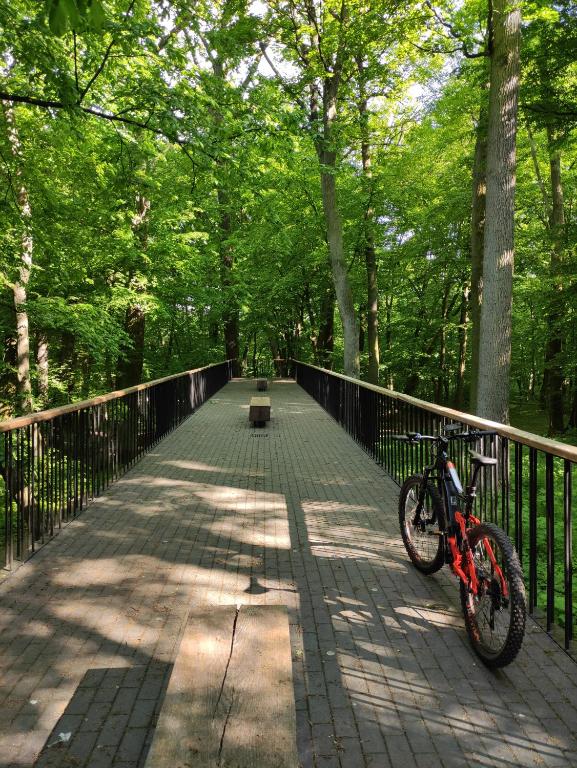 Jazda na bicykli v okolí ubytovania Park View - przy plaży, parking, TV55" z Netflix i Max