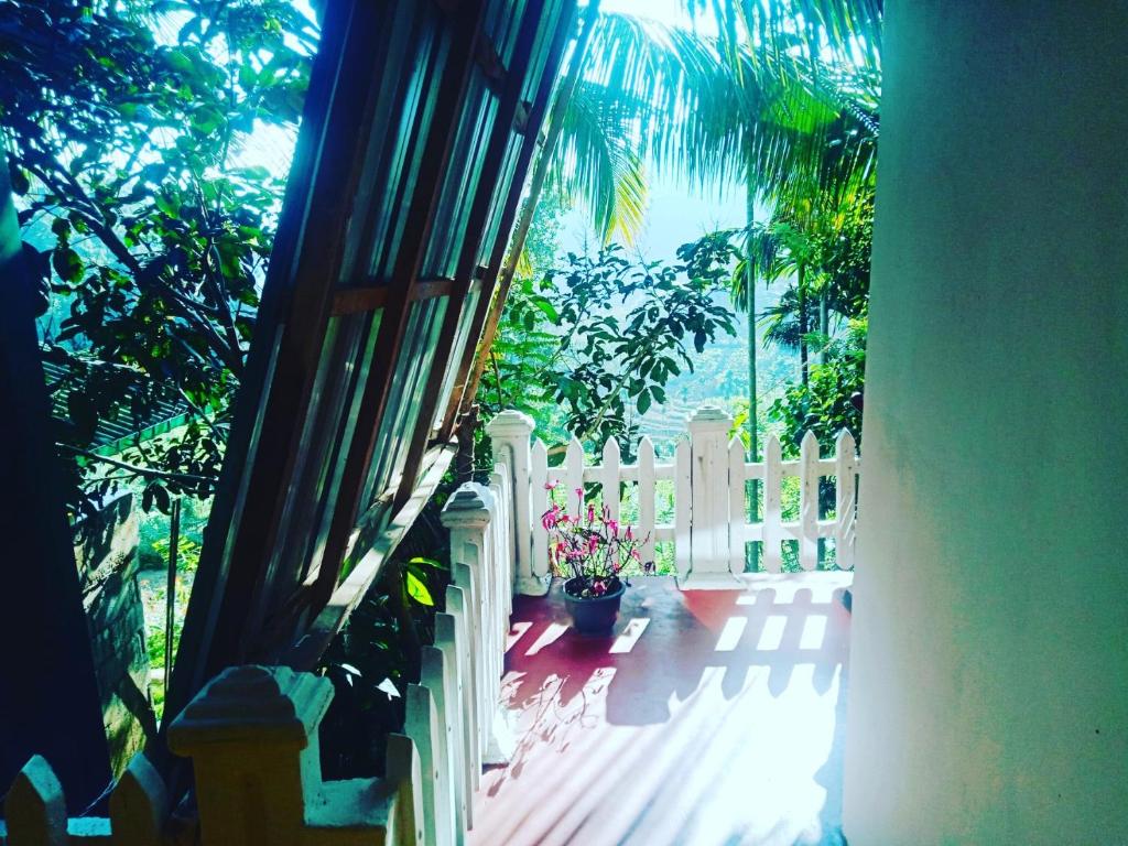 New Farmers Paradise - 15