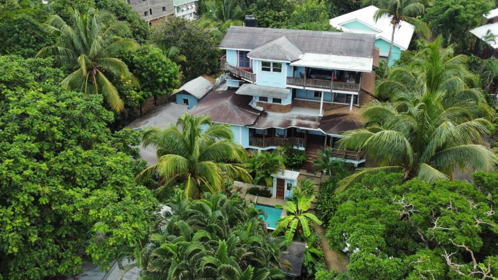 an aerial view of a house with palm trees at Mariposa Lodge in West End