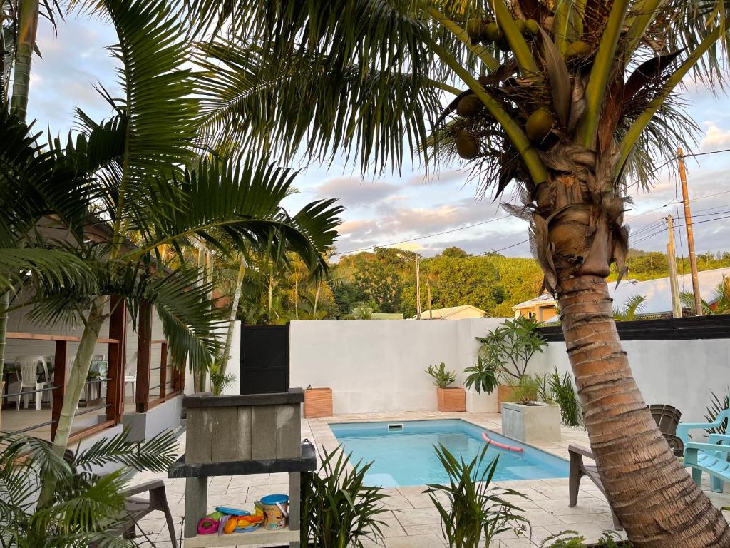 a swimming pool with a palm tree in a yard at La Kzaline in Petite Île