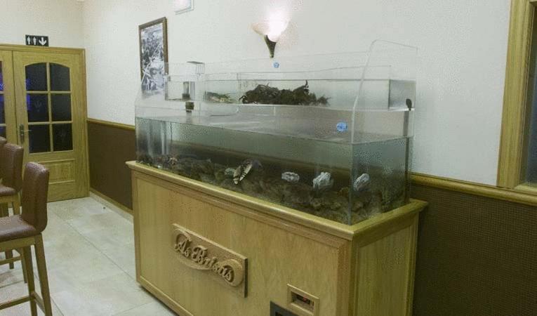 Zdjęcie z galerii obiektu Hotel As Brisas do Freixo w mieście O Freixo