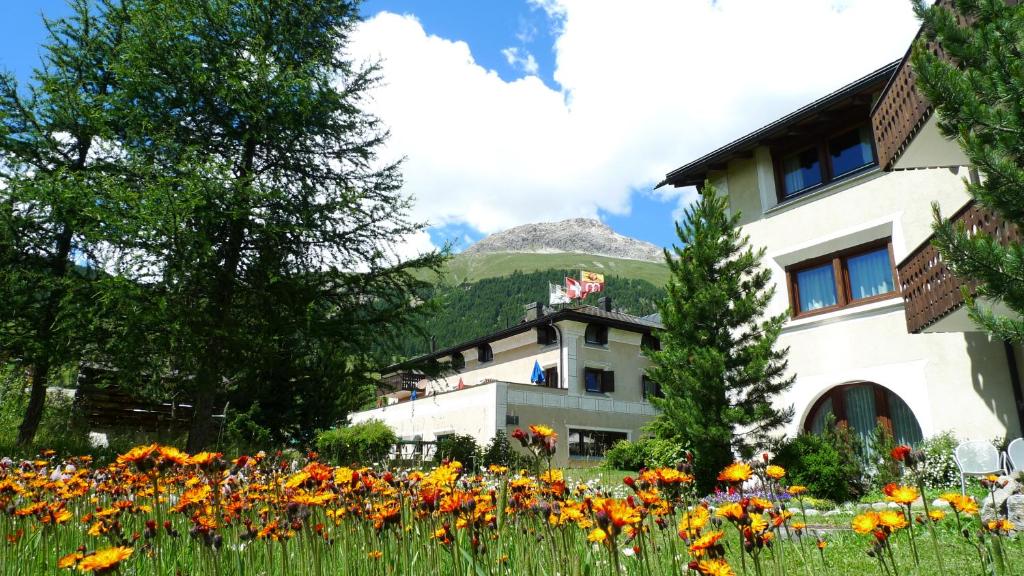 Nespecifikovaný výhled na hory nebo výhled na hory při pohledu z hotelu