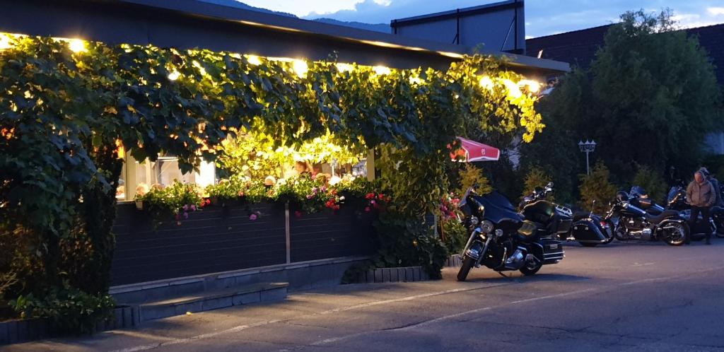 Zahrada ubytování Gasthaus - Pension Kärntnerhof