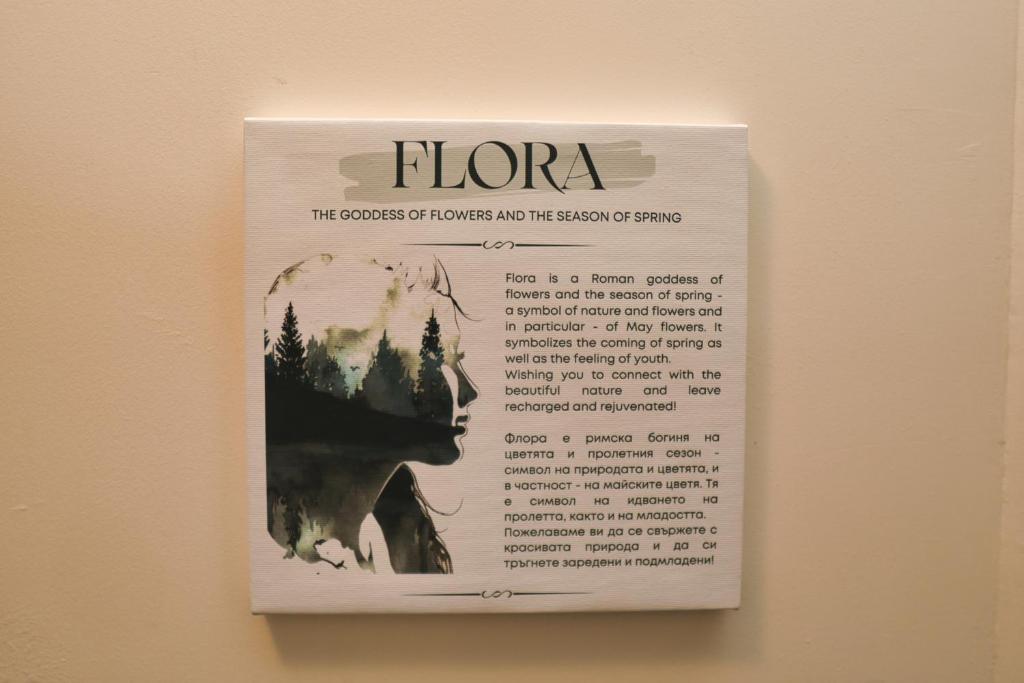 Fotografie z fotogalerie ubytování Bansko Vibes Apartments - Flora Boutique v destinaci Bansko
