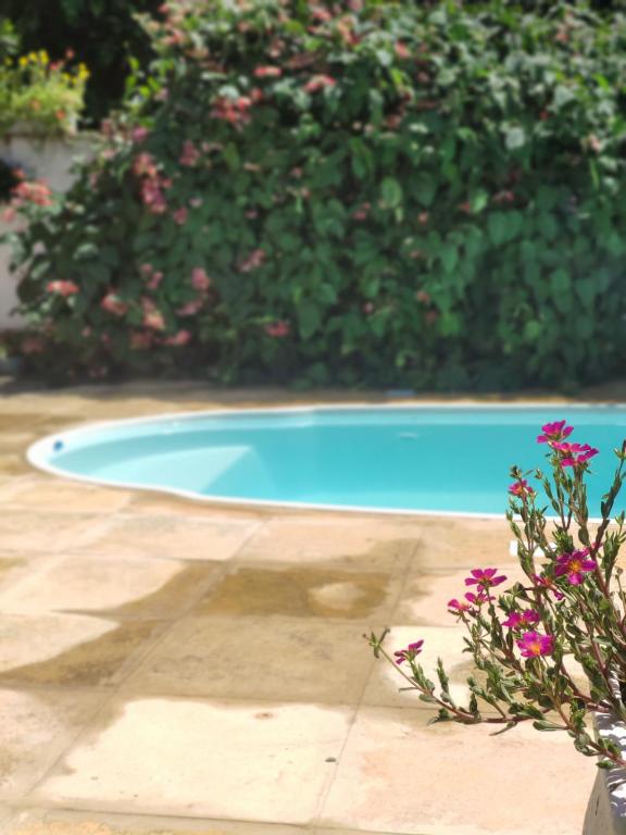 una pequeña piscina azul en un patio con flores en Pousada da Vivi, en Porto de Galinhas