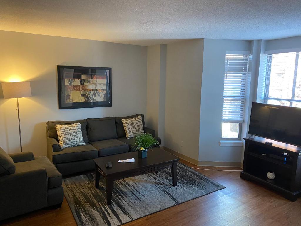 Are Dogs Allowed In The Prudential Center Boston