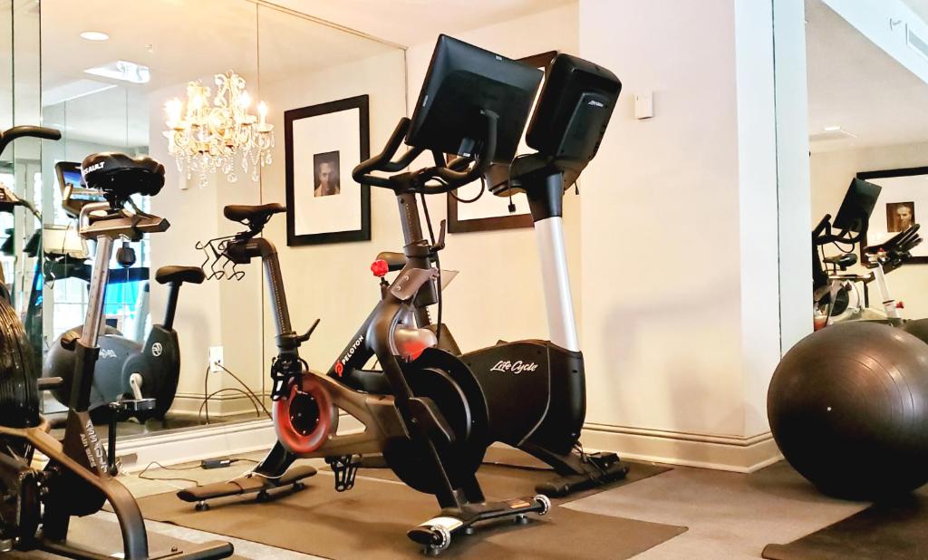 Fitness centrum a/nebo fitness zařízení v ubytování Hotel ZaZa Austin