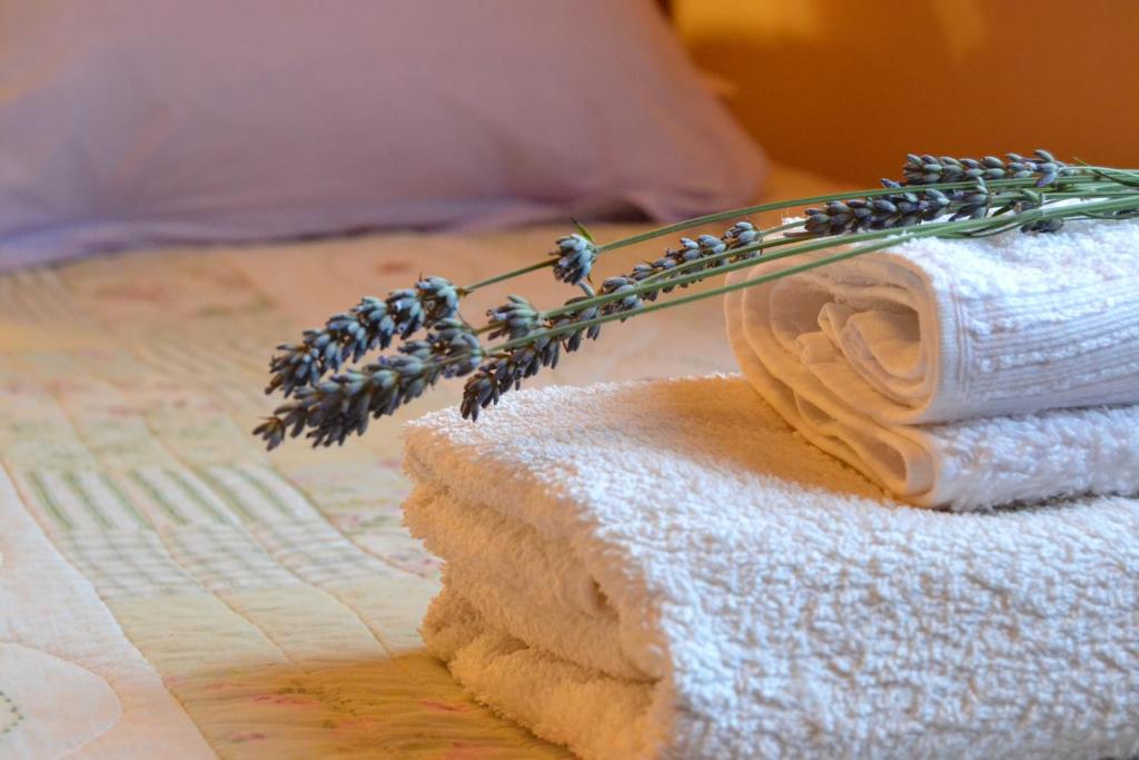 Postel nebo postele na pokoji v ubytování Hosteria Katy