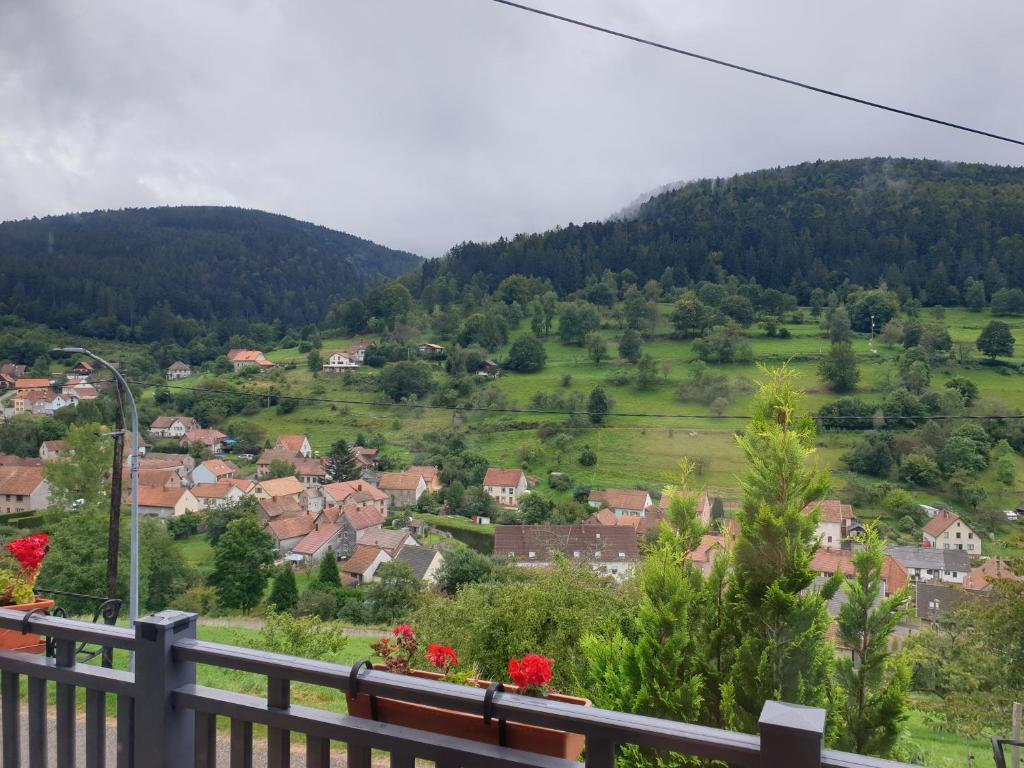 a view of a town in a valley with houses at le gutty - maison de vacances in Natzwiller