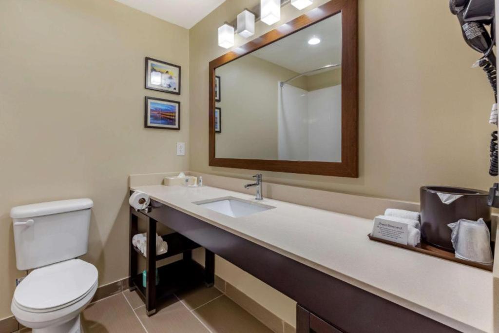 Comfort Suites near Camp Lejeune - Queen Room With Two Queen Beds - Non Smoking