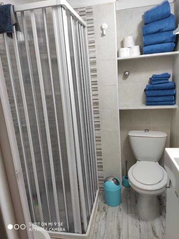 Kúpeľňa v ubytovaní Casa ARETUSKA
