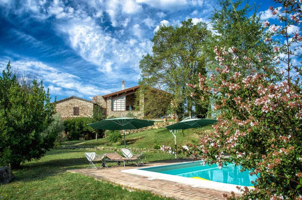 - une piscine avec 2 chaises longues et des parasols dans l'établissement Agriturismo Casa Greppo, à San Venanzo