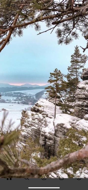 a view of the ocean from a cliff with trees at W apartmán 2 in Teplice nad Metují