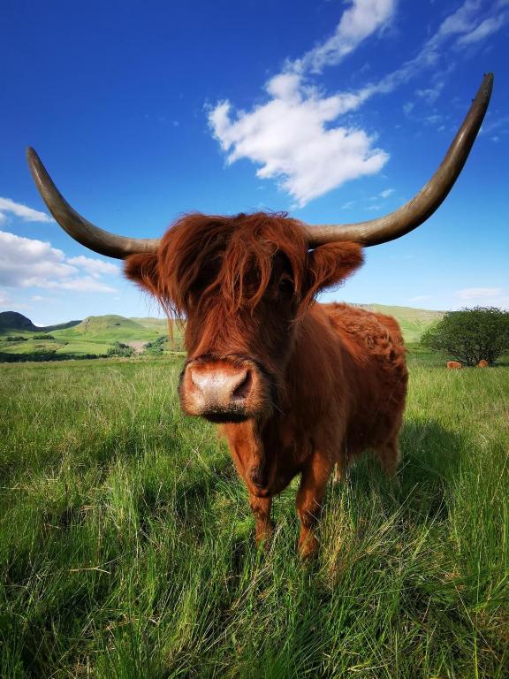 The West Highland Way Pitches - Resim 14