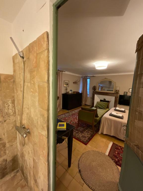 Domaine d'Angouire - Junior Suite Con Cocina - Coco
