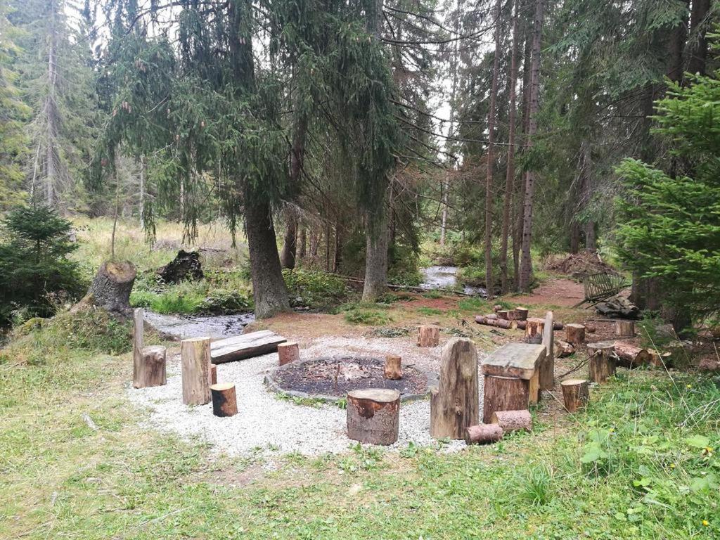 Příroda nedaleko apartmánu
