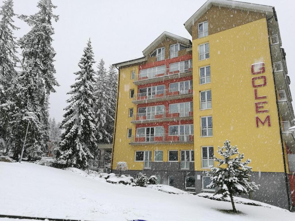 Lovely apartment in the heart of Tatranska Strba v zimě