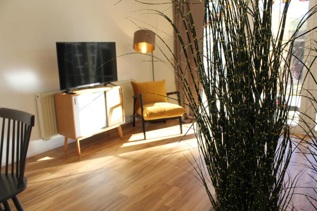 a living room with a tv and a chair and a plant at Allgäuer Tierstübchen - WLAN - Terrasse - Parkplatz in Buchenberg