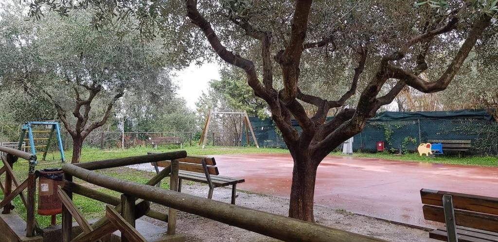 Zdjęcie z galerii obiektu A dieci minuti dal centro - accogliente spazioso w mieście Perugia