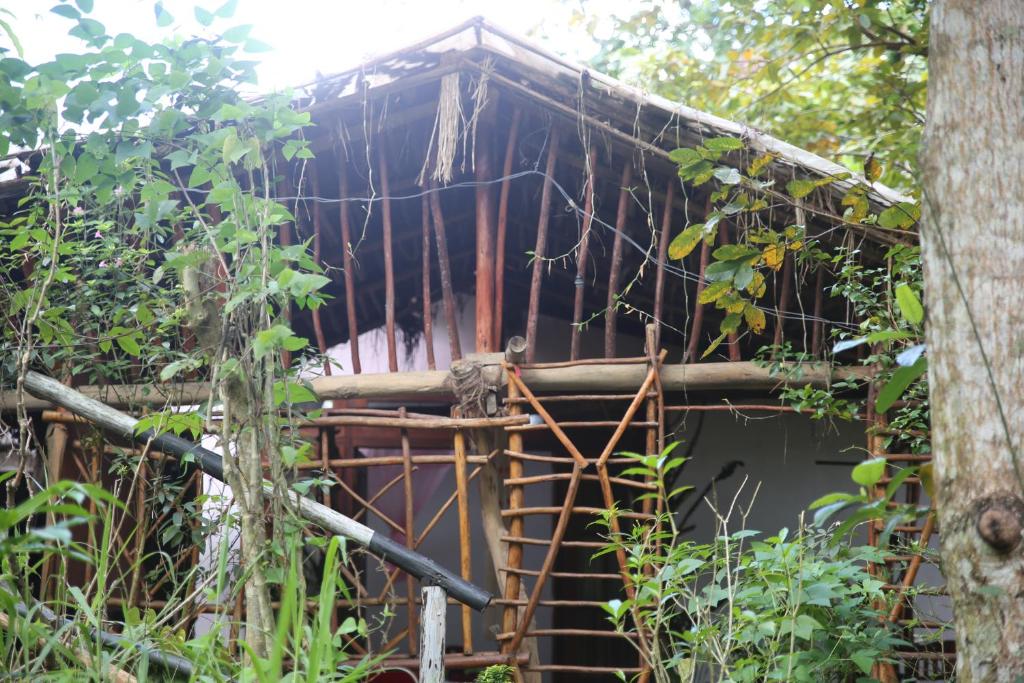 eine Außenansicht eines Bambushauses in einem Wald in der Unterkunft Misty Mount Resort in Ella