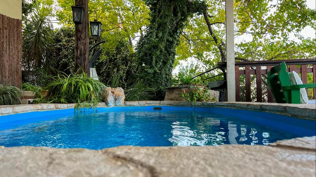 un cane in piedi accanto a una piccola piscina blu di Adva High Above All a Rosh Pinna