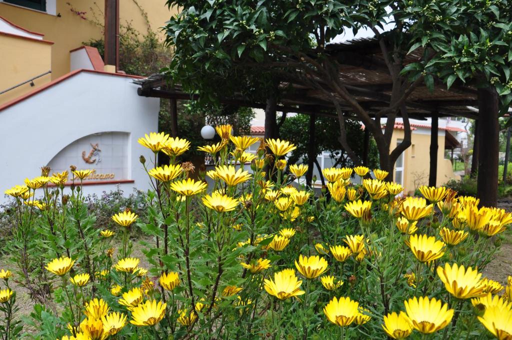 Zahrada ubytování Hotel La Marticana
