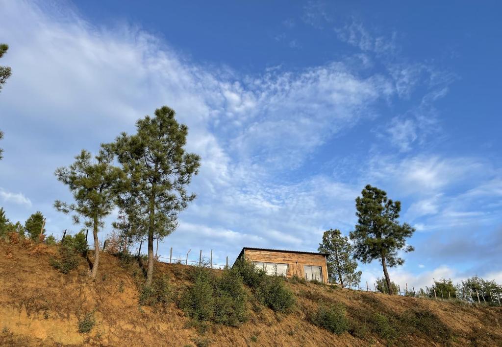 uma casa no topo de uma colina com árvores em Quinta da Pedrulha em Valhelhas