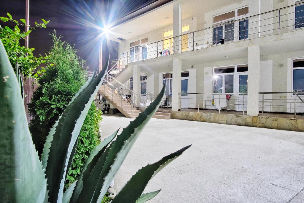 Greenland отель абхазия. отель арт сухум. букинг абхазия отели. мини отель лучезарный абхазия. жемчужина 3 абхазия.