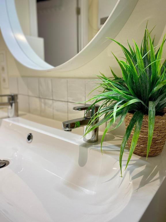 a bathroom sink with a potted plant on it at Forest Lodge in Petit Mesnil