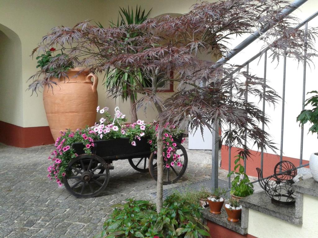 Zahrada ubytování Garni-Hotel zum alten Ratskeller