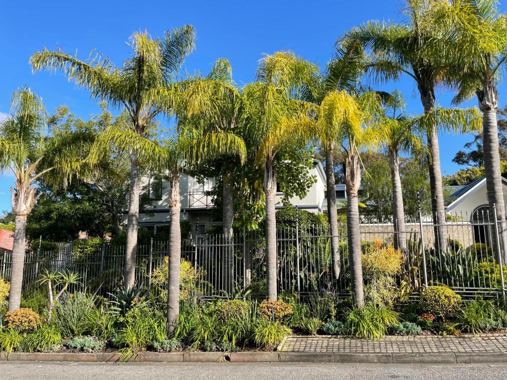 Cape Town的住宿－Constantiaberg Eco-Villa，房屋前有棕榈树的围栏