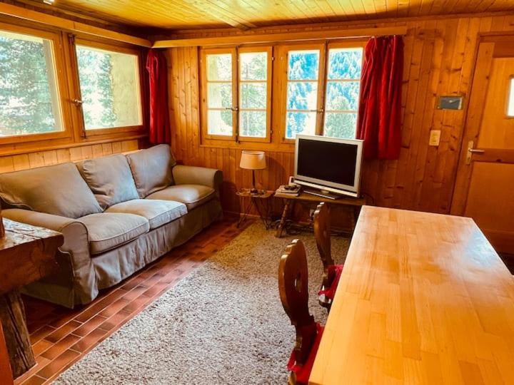 TV a/nebo společenská místnost v ubytování Chalet Singlinaz