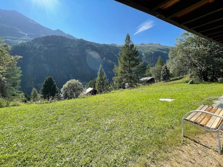 Příroda nedaleko apartmánu