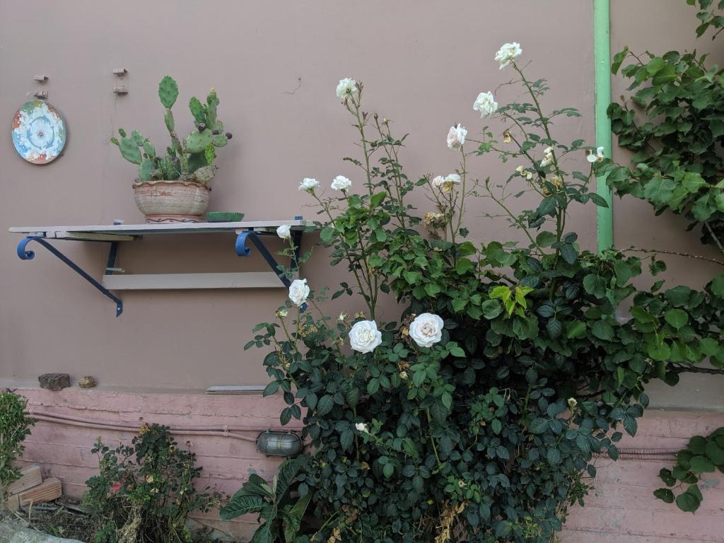 Ogród w obiekcie Modern 1-bedroom with BBQ & Roof Garden near Beach