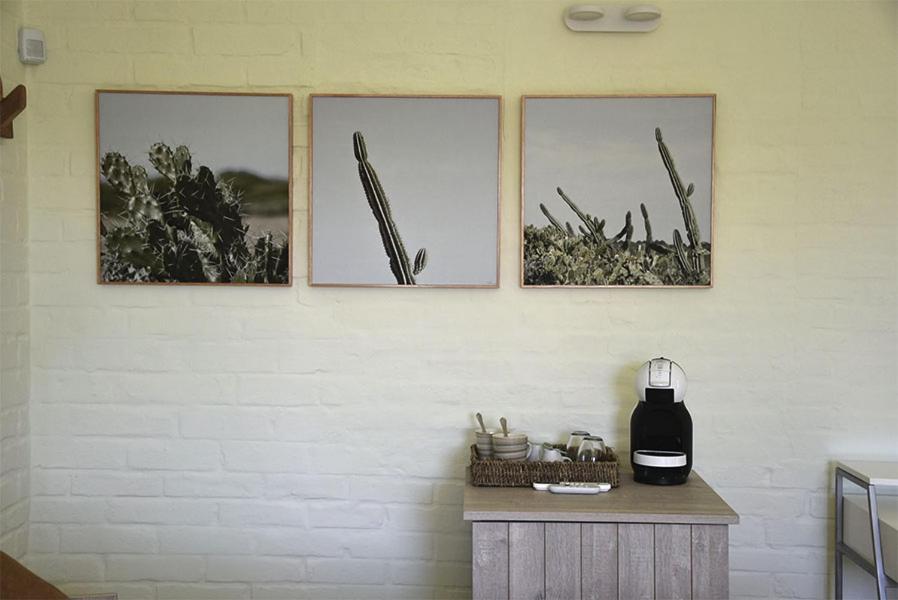 Fotografie z fotogalerie ubytování Posada Tamarindo v destinaci José Ignacio