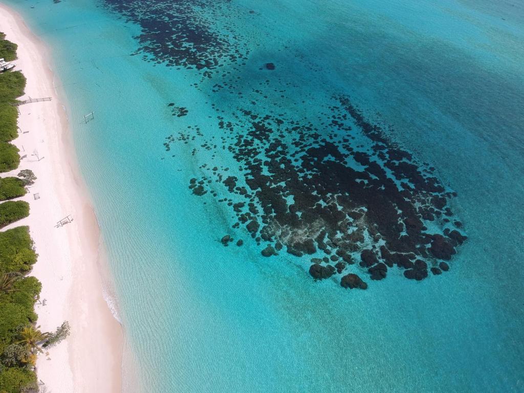 Thoddoo Haisha inn, Maldives - 16