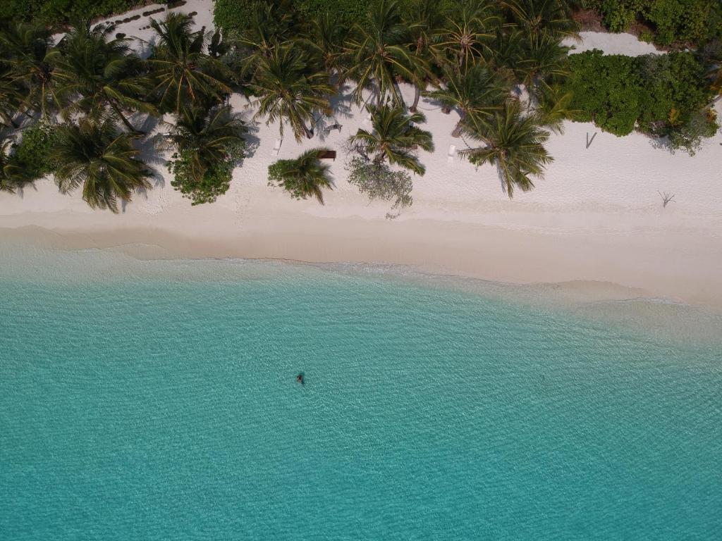 Thoddoo Haisha inn, Maldives - 17