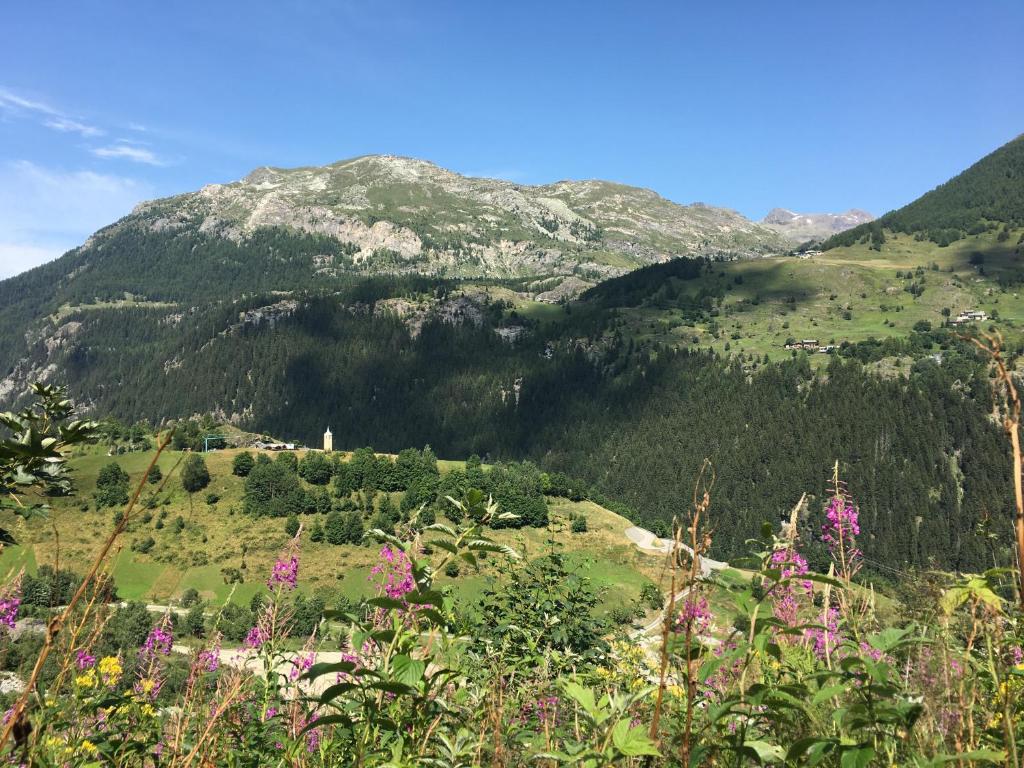 Gallery image of Chalet Altus in Sainte-Foy-Tarentaise