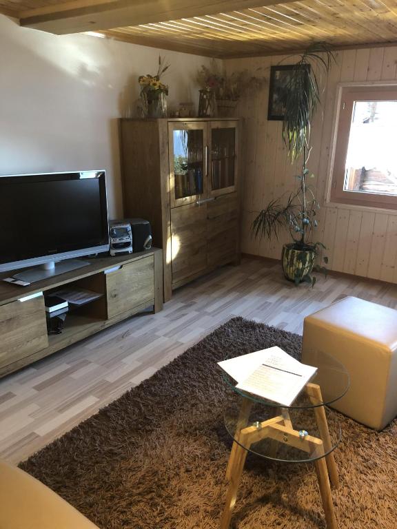 TV a/nebo společenská místnost v ubytování Distel