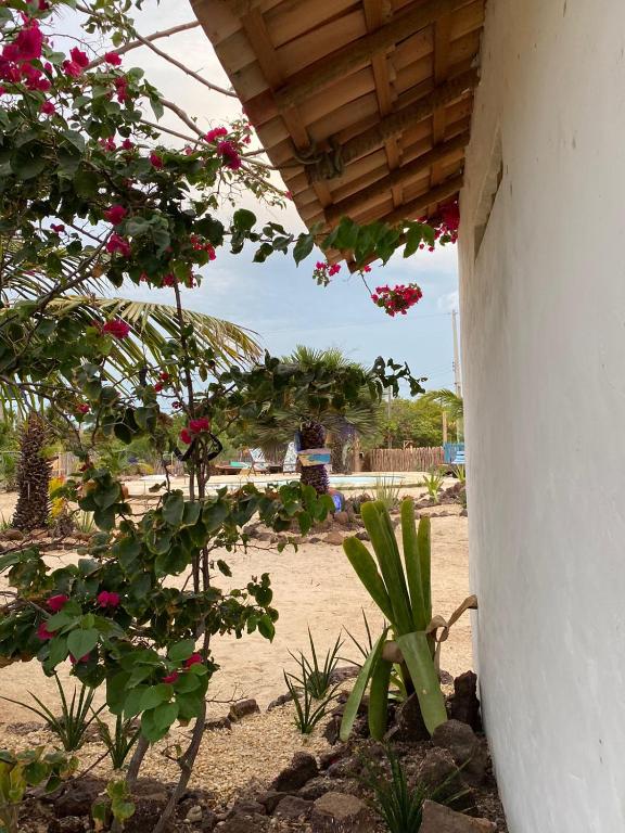 Zahrada ubytování Vilarejo Macapá Chalés