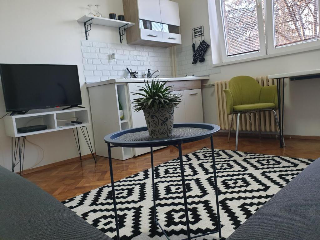 una sala de estar con una mesa con una maceta. en Apartman Park Jagodina-studio u centru grada en Jagodina