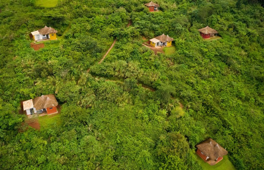 an overhead view of a group of houses in a forest at Isunga Lodge in  Kibale Forest National Park