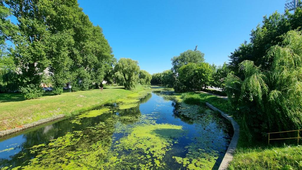 Príroda v okolí apartmánu