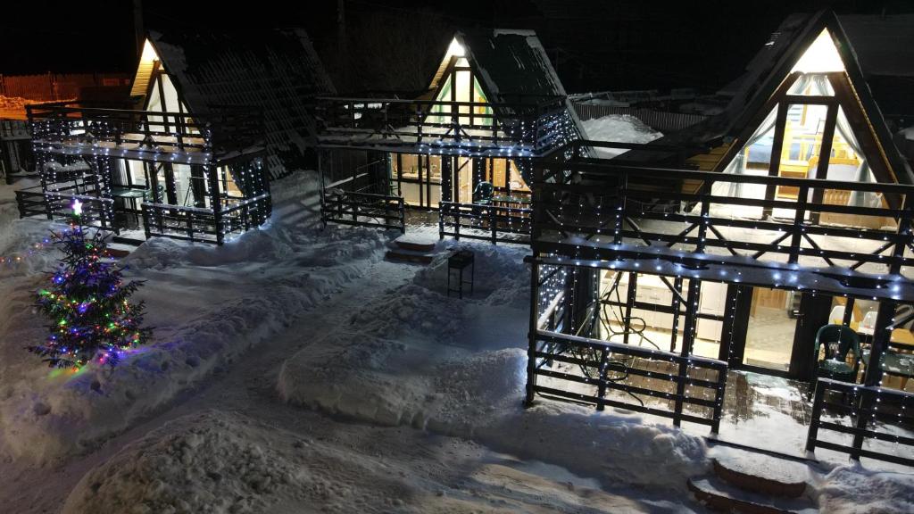 オスタシコフにあるDomiki u plyazhaの雪中のクリスマスツリーのある家