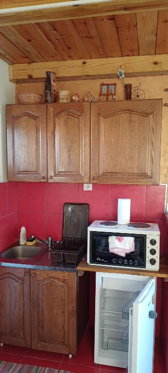 A kitchen or kitchenette at Vikendica Raković