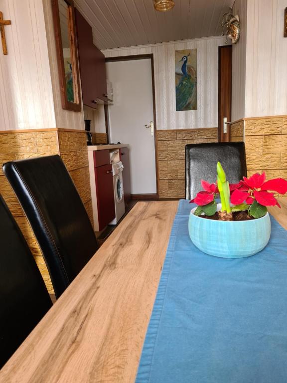 Posedenie v ubytovaní Alexandra Appartement